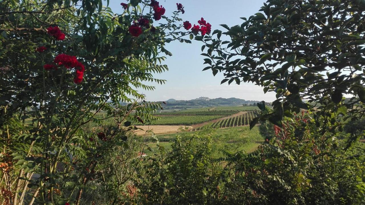 אבדיאנה די מונטפולצ'אנו Agriturismo La Chiesina מראה חיצוני תמונה