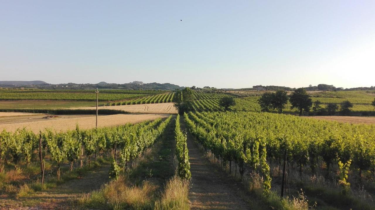 אבדיאנה די מונטפולצ'אנו Agriturismo La Chiesina מראה חיצוני תמונה